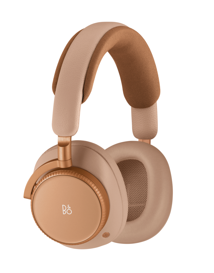 Beoplay H100